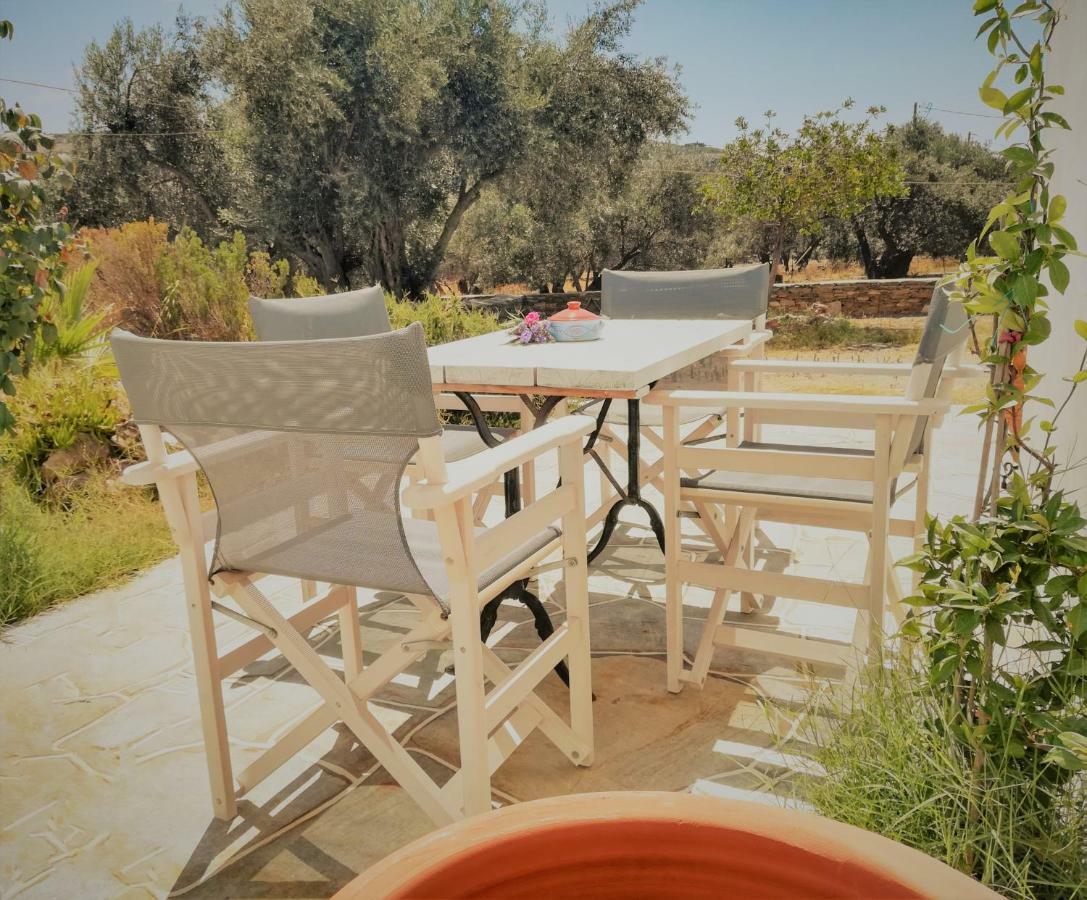 Ferienwohnung Blue Fish Platis Gialos  Exterior foto